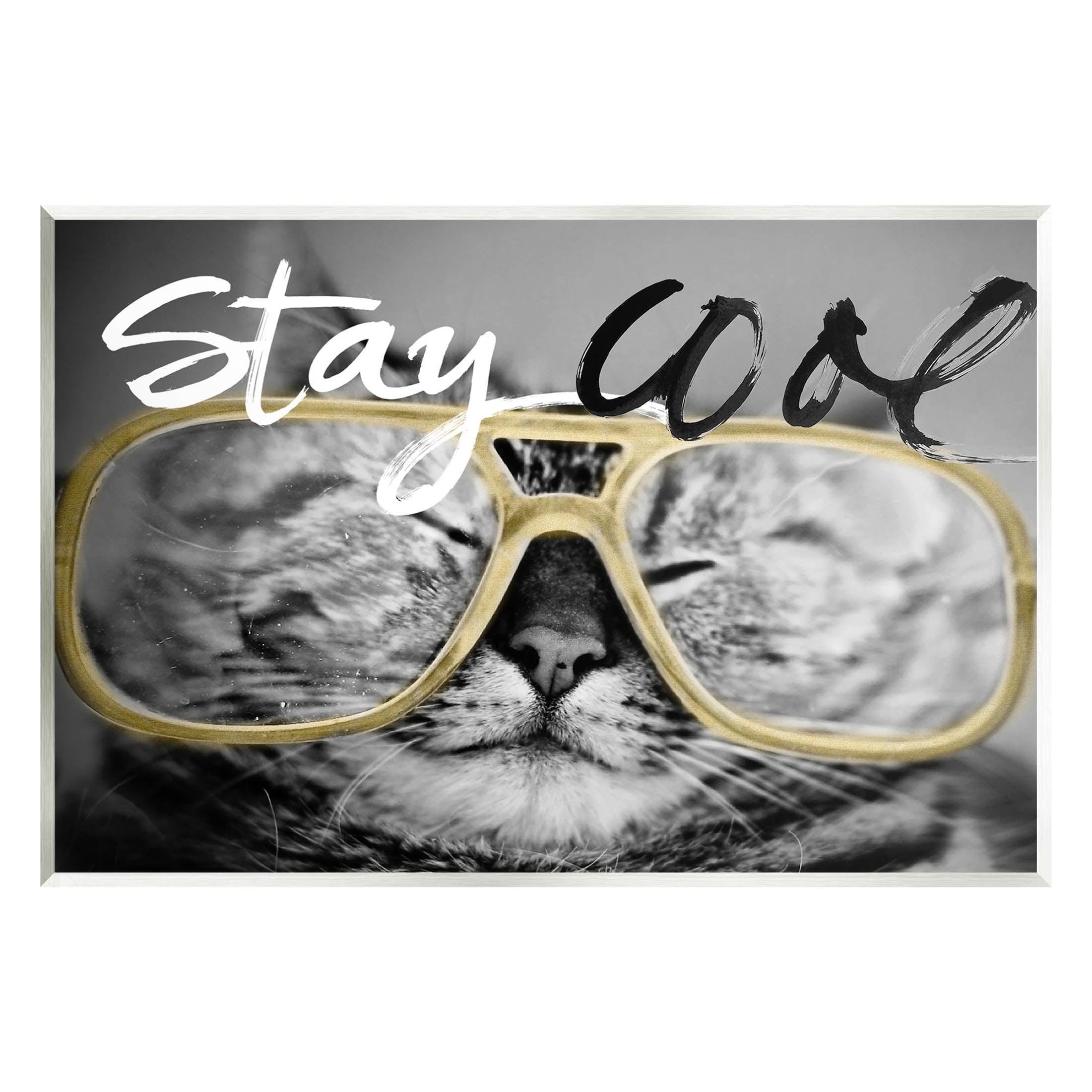 Stupell Industries Stay Cool Cat Glasses Graphic Art Unframed Art Print Wall Art, Design by Sundance Group