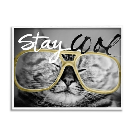Stupell Industries Stay Cool Cat Glasses Graphic Art White Framed Art Print Wall Art, Design by Sundance Group