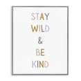 thumbnail image 1 of Stupell Industries Modern Stay Wild Be Kind Gray Framed Giclee Art, 24 x 30, by Katie Griggs, 1 of 8