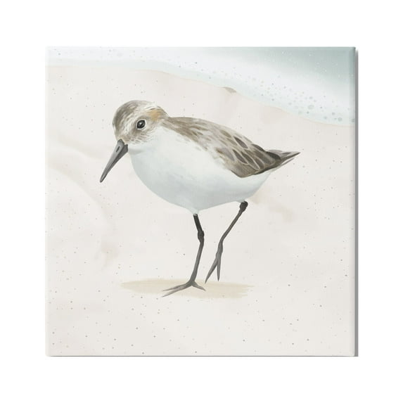Stupell Industries Stepping Sandpiper Bird Ocean Shoreline Beach Scene Graphic Art Gallery Wrapped Canvas Print Wall Art, Design by Lucca Sheppard