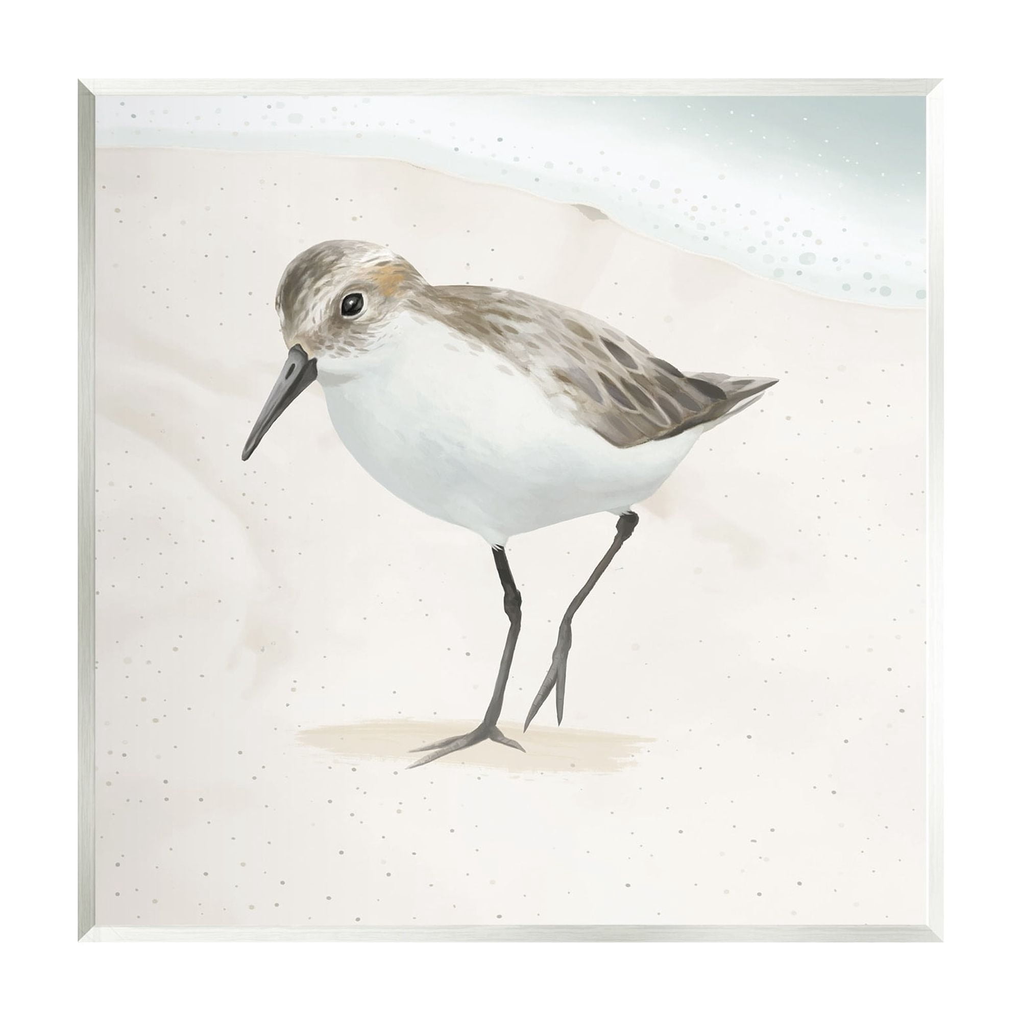 Stupell Industries Stepping Sandpiper Bird Ocean Shoreline Beach Scene Graphic Art Unframed Art Print Wall Art, Design by Lucca Sheppard