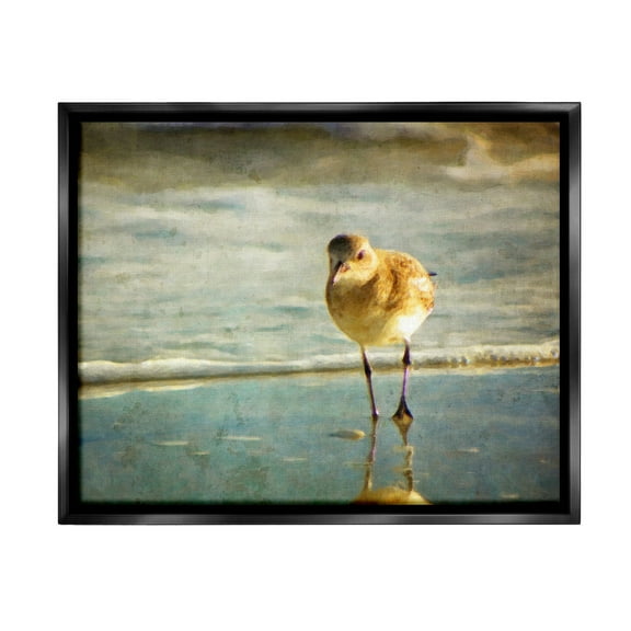 Stupell Industries Stepping Sandpiper at Shore Animals & Insects Photography Black Floater Framed Canvas Art Print Wall Art, 21 x 17