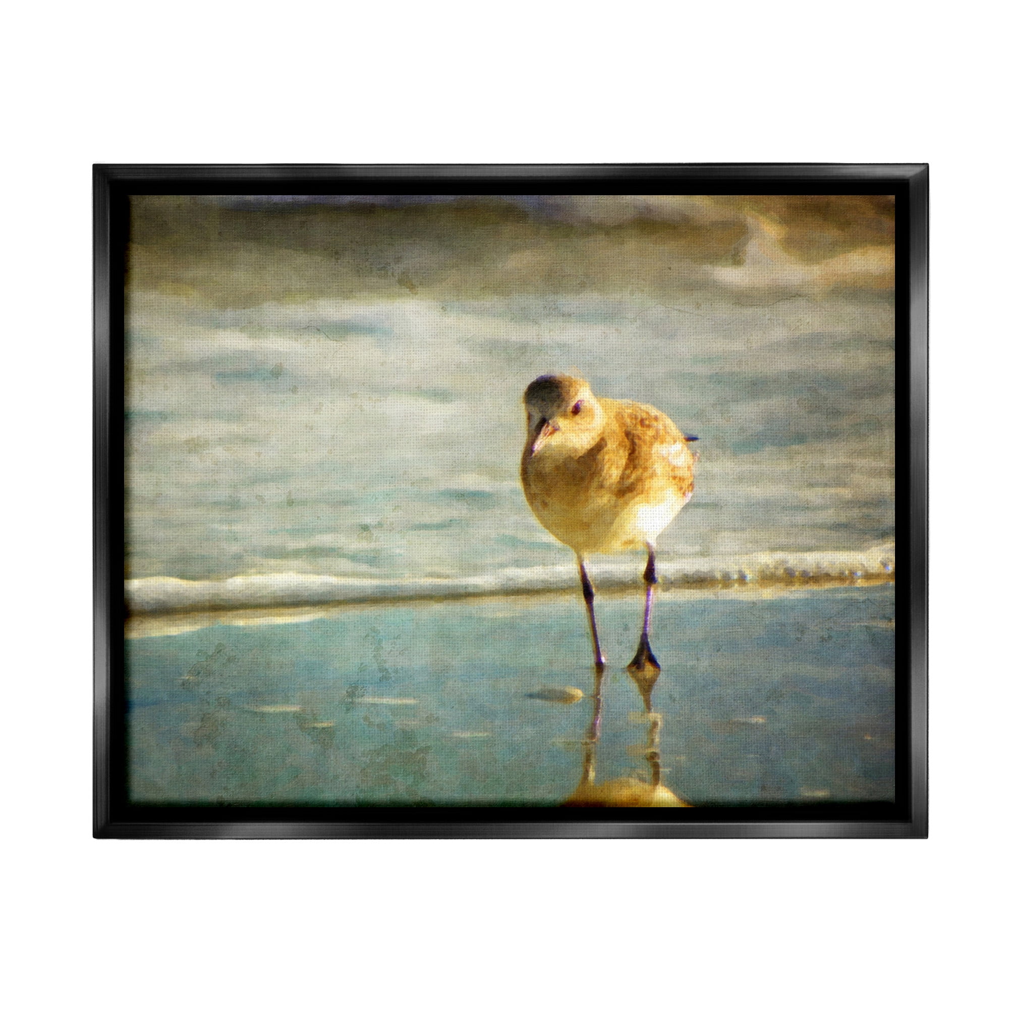 Stupell Industries Stepping Sandpiper at Shore Animals & Insects Photography Black Floater Framed Canvas Art Print Wall Art, 31 x 25
