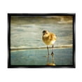 thumbnail image 1 of Stupell Industries Stepping Sandpiper at Shore Animals & Insects Photography Black Floater Framed Canvas Art Print Wall Art, 31 x 25, 1 of 10