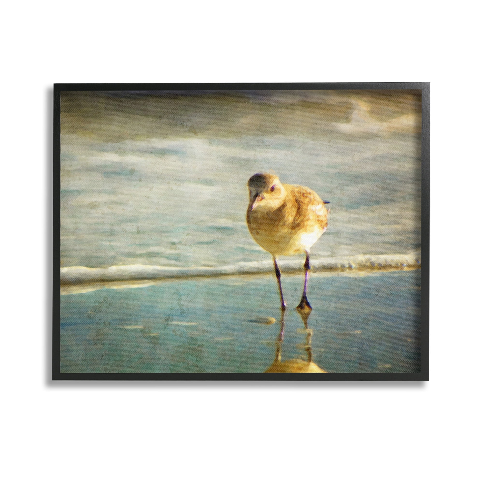 Stupell Industries Stepping Sandpiper at Shore Animals & Insects Photography Black Framed Art Print Wall Art, 14 x 11