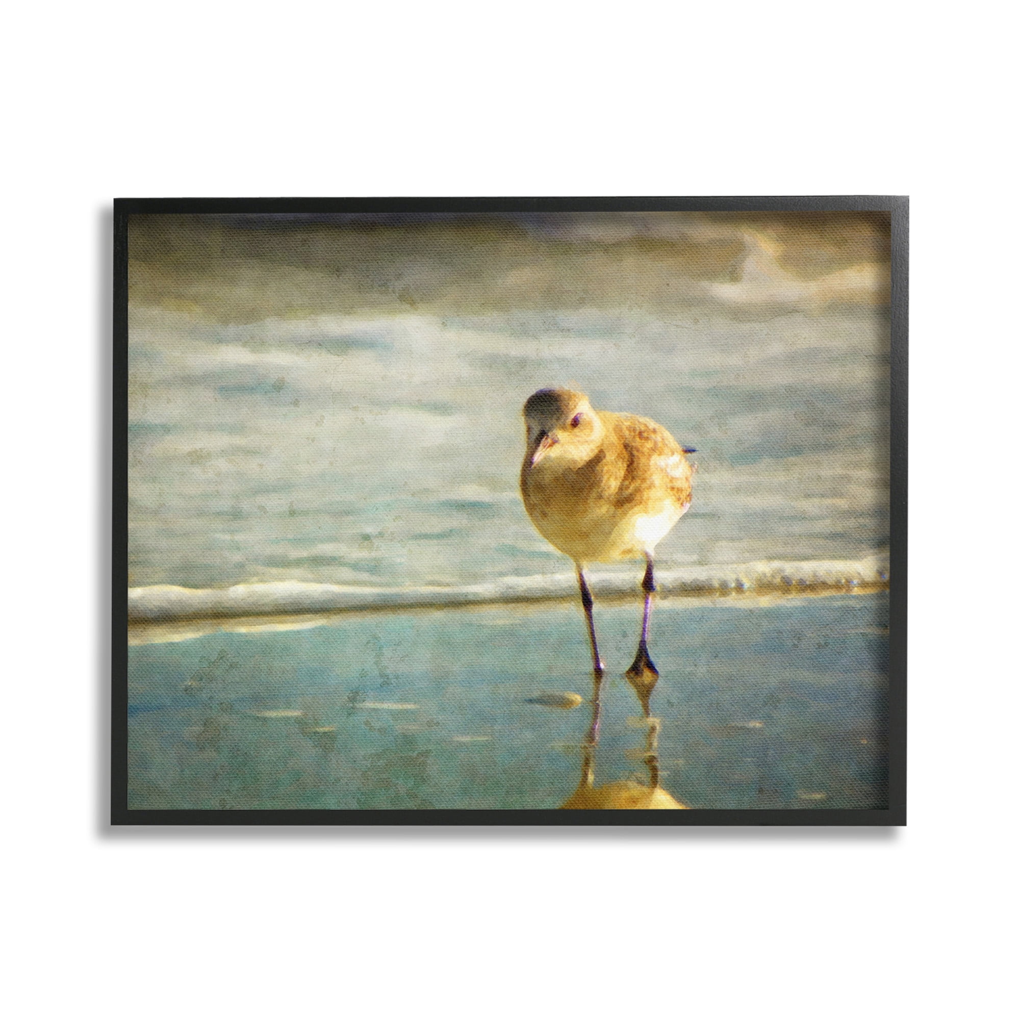 Stupell Industries Stepping Sandpiper at Shore Animals & Insects Photography Black Framed Art Print Wall Art, 20 x 16