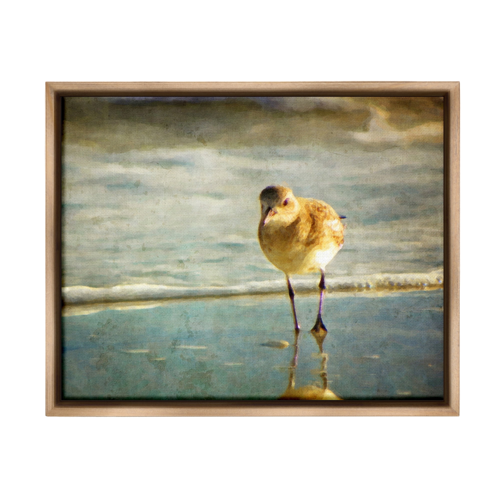 Stupell Industries Stepping Sandpiper at Shore Animals & Insects Photography Brown Floater Framed Canvas Art Print Wall Art, 31 x 25