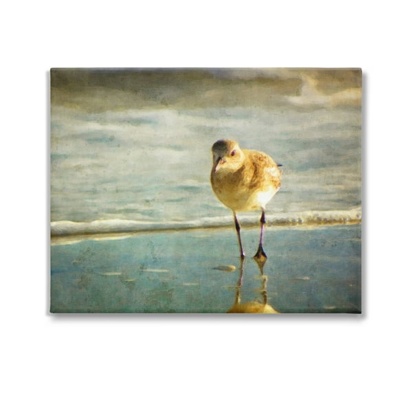 Stupell Industries Stepping Sandpiper at Shore Animals & Insects Photography Gallery Wrapped Canvas Art Print Wall Art, 20 x 16