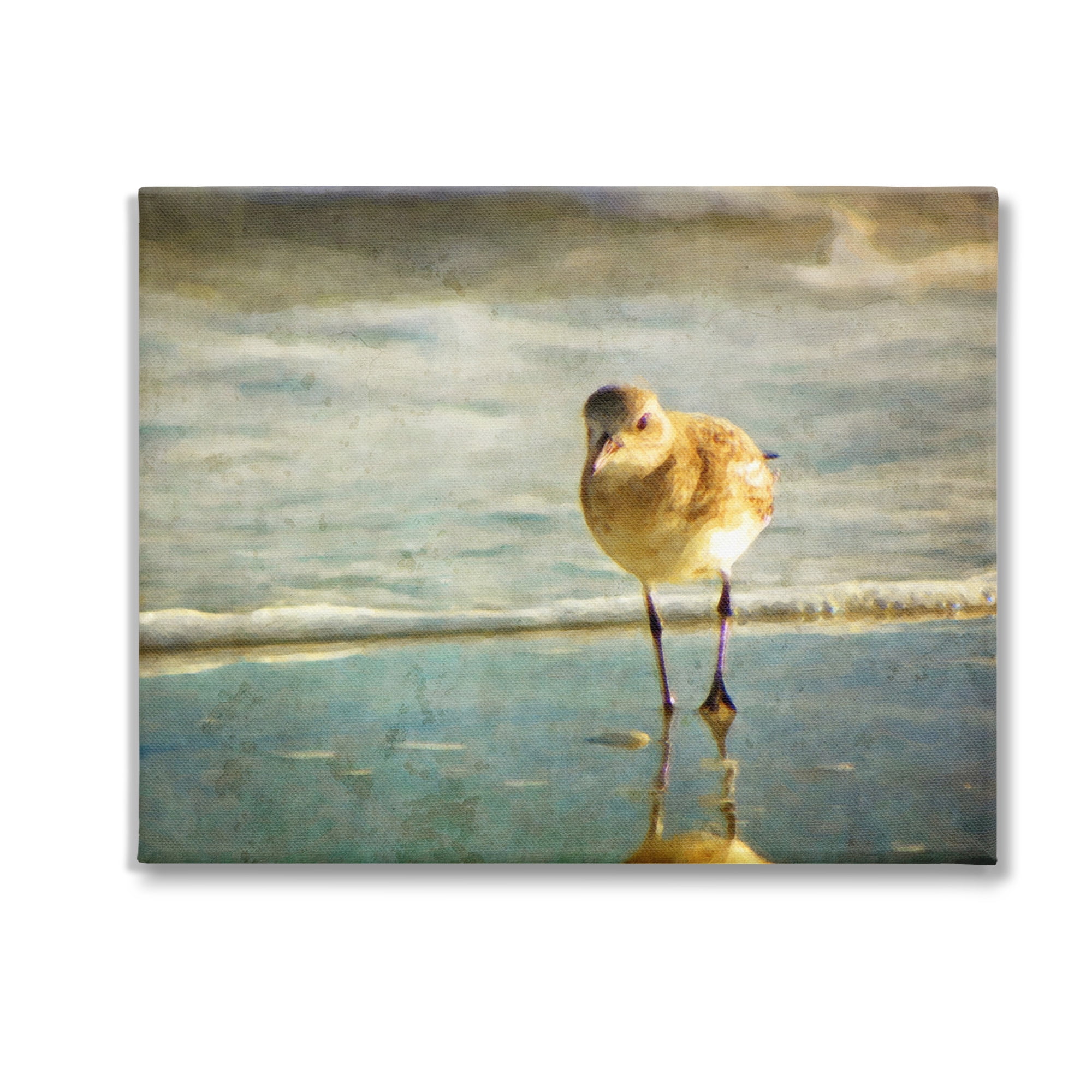Stupell Industries Stepping Sandpiper at Shore Animals & Insects Photography Gallery Wrapped Canvas Art Print Wall Art, 30 x 24