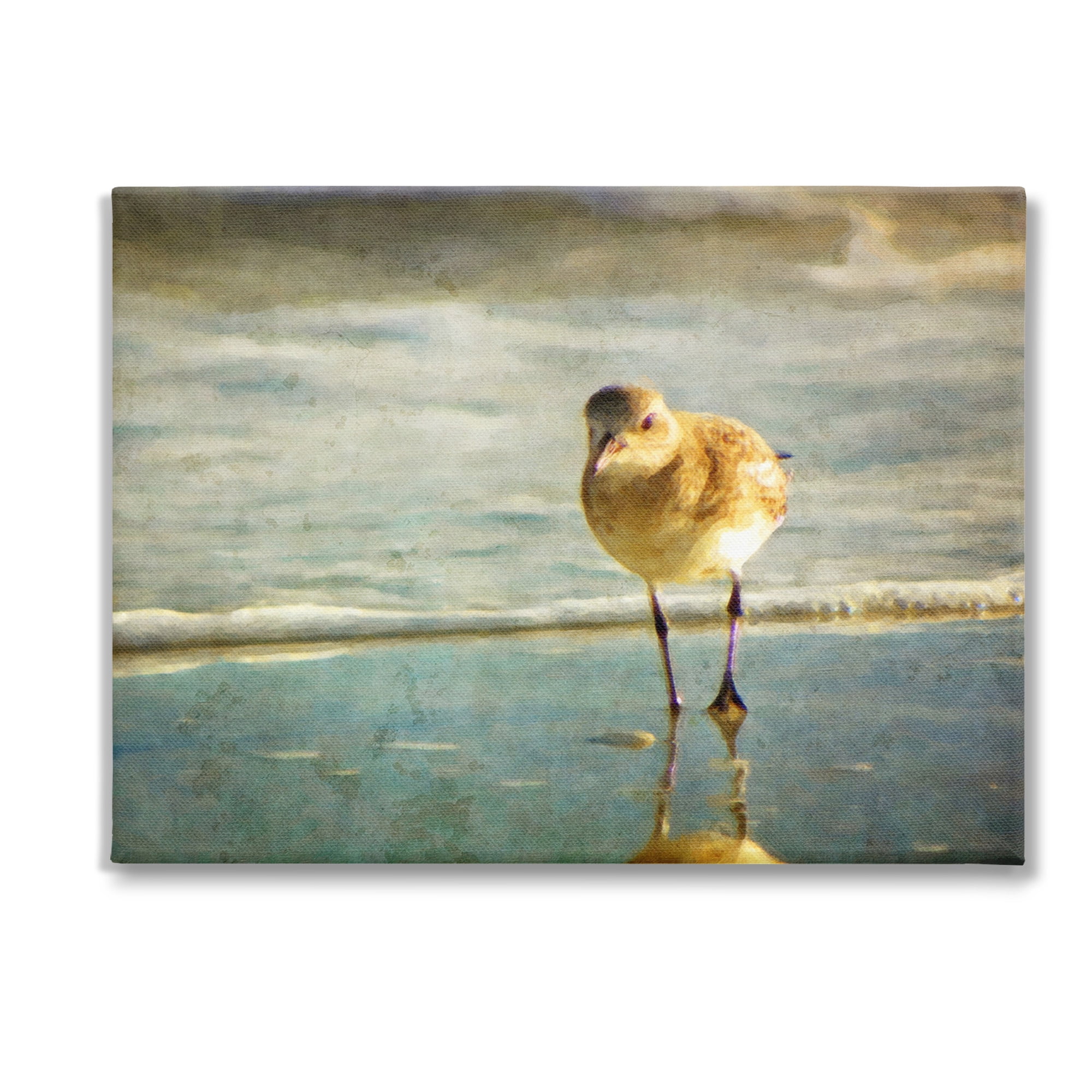 Stupell Industries Stepping Sandpiper at Shore Animals & Insects Photography Gallery Wrapped Canvas Art Print Wall Art, 48 x 36