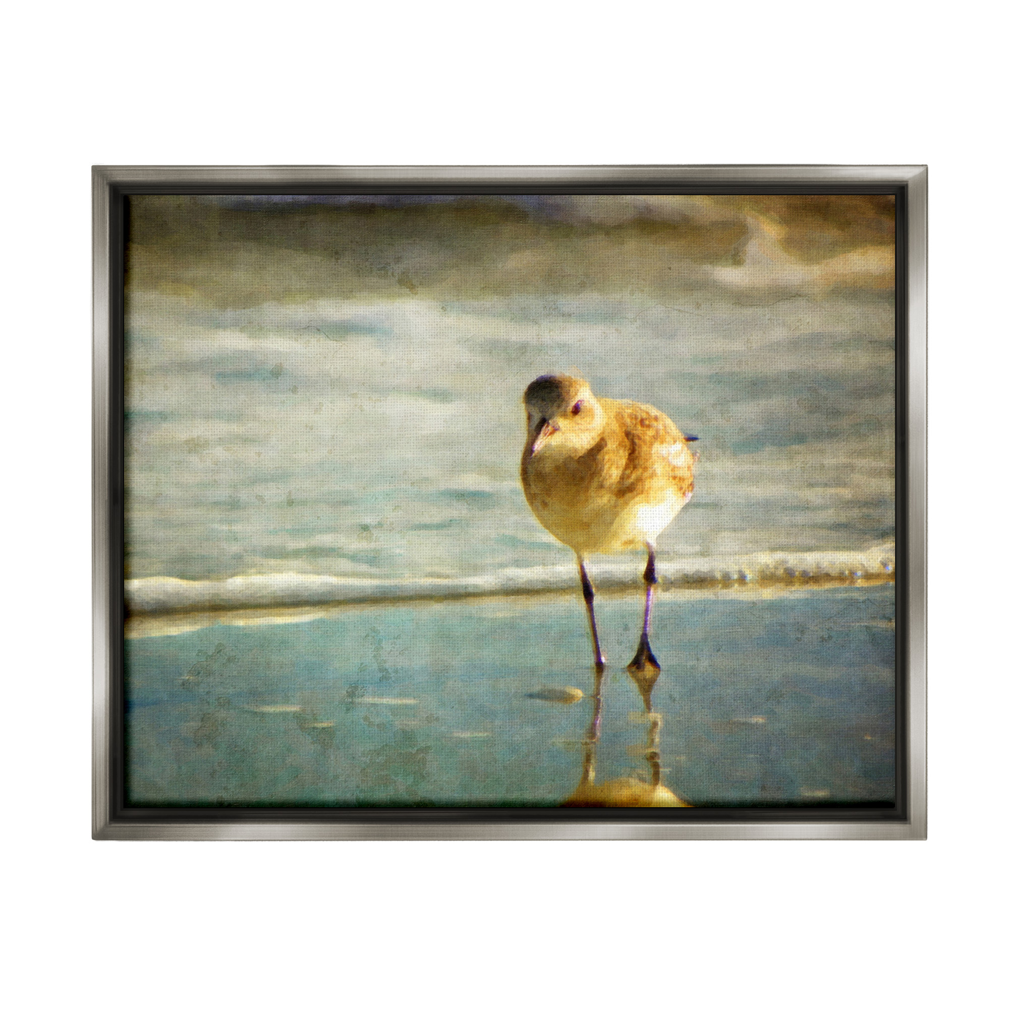 Stupell Industries Stepping Sandpiper at Shore Animals & Insects Photography Gray Floater Framed Canvas Art Print Wall Art, 21 x 17