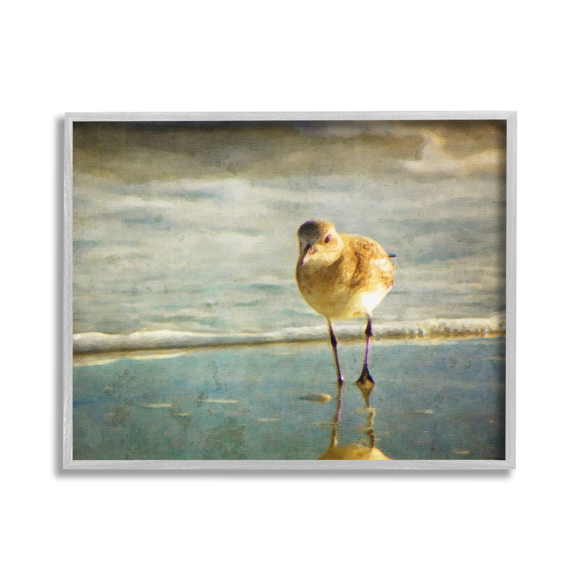 Stupell Industries Stepping Sandpiper at Shore Animals & Insects Photography Gray Framed Art Print Wall Art, 20 x 16