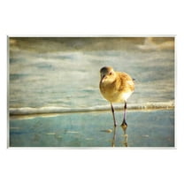 Stupell Industries Stepping Sandpiper at Shore Animals & Insects Photography Unframed Art Print Wall Art, 15 x 10