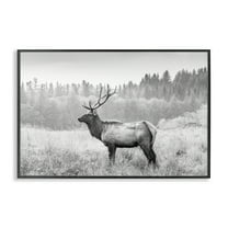 Stupell Industries Stoic American Elk Landscape & Nature Photography Black Framed Art Print Wall Art, 18 x 12