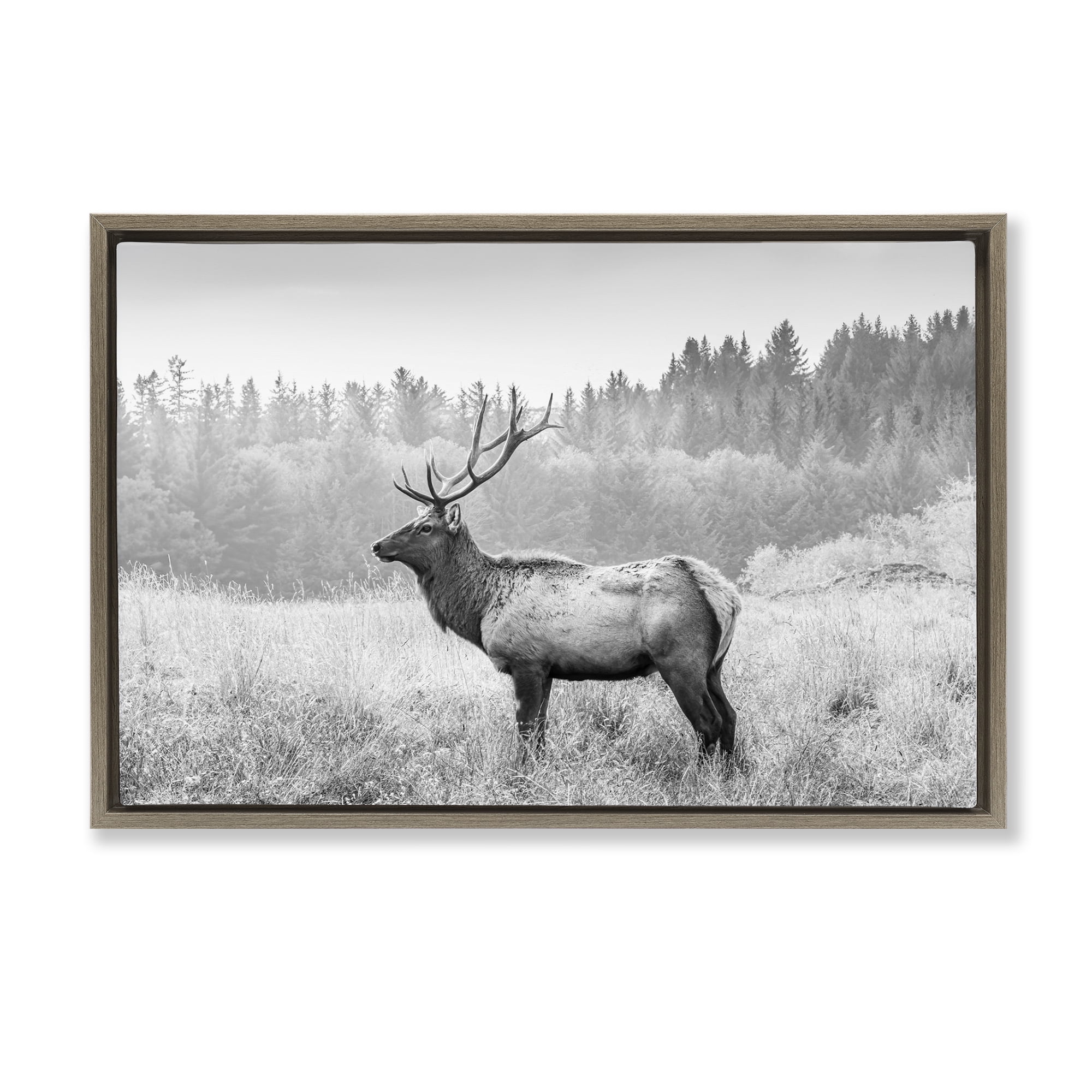 Stupell Industries Stoic American Elk Landscape & Nature Photography Brown Floater Framed Canvas Art Print Wall Art, 31 x 21
