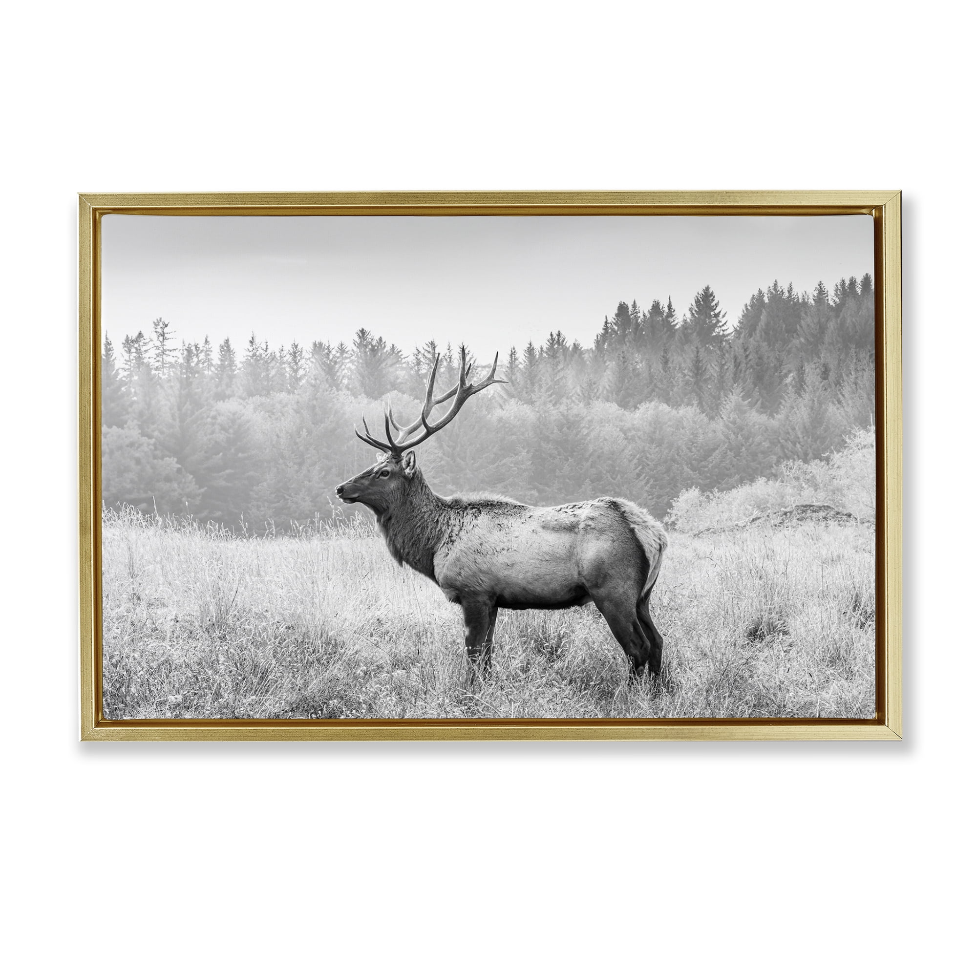 Stupell Industries Stoic American Elk Landscape & Nature Photography Gold Floater Framed Canvas Art Print Wall Art, 25 x 17