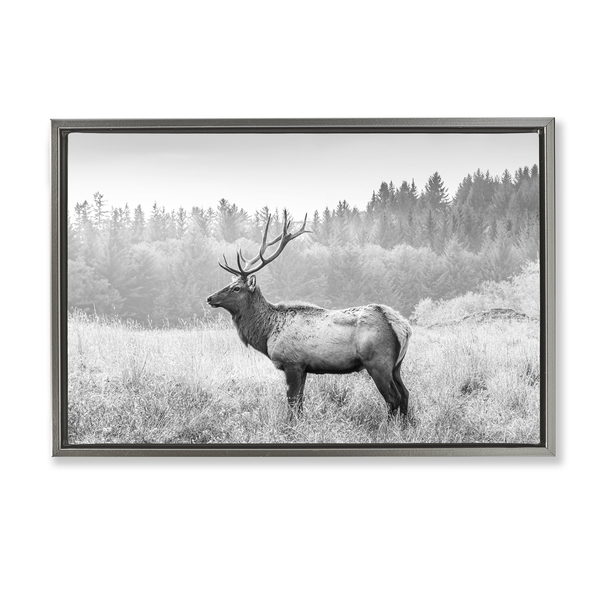 Stupell Industries Stoic American Elk Landscape & Nature Photography Gray Floater Framed Canvas Art Print Wall Art, 25 x 17