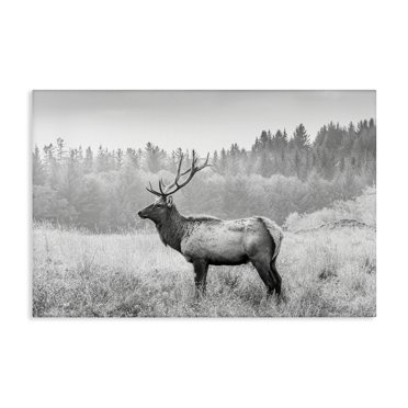 Stupell Industries Main Line Art And Design Framed 12-in H X 12-in W...