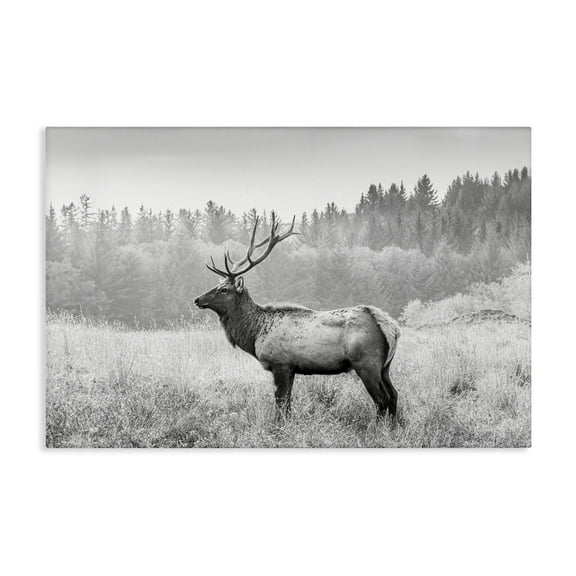 Stupell Industries Stoic American Elk Landscape & Nature Photography Wrapped Canvas Art Print Wall Art, 24 x 16