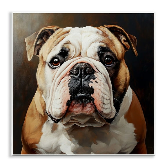 Stupell Industries Stoic Bulldog Portrait Animals Painting Unframed Art Print Wall Art, 12 x 12