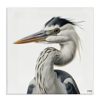 Stupell Industries Stoic Heron Looking Left Animals & Insects Painting Gallery Wrapped Canvas Art Print Wall Art, 17 x 17