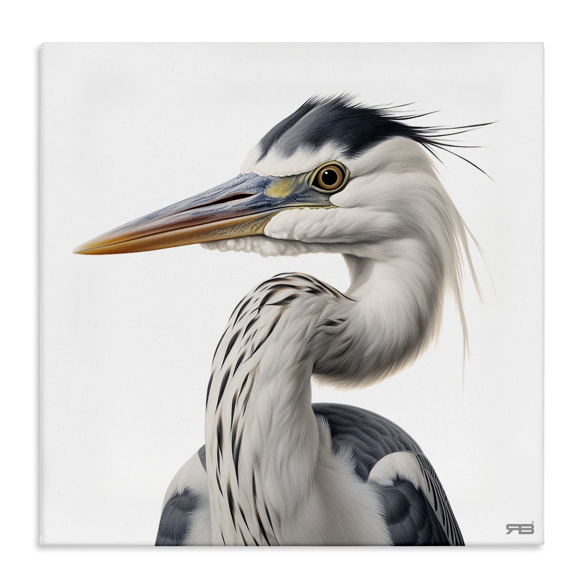 Stupell Industries Stoic Heron Looking Left Animals & Insects Painting Gallery Wrapped Canvas Art Print Wall Art, 24 x 24