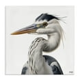 thumbnail image 1 of Stupell Industries Transitional Stoic Heron Looking Left Canvas Art, 24 x 24, by RB, 1 of 8