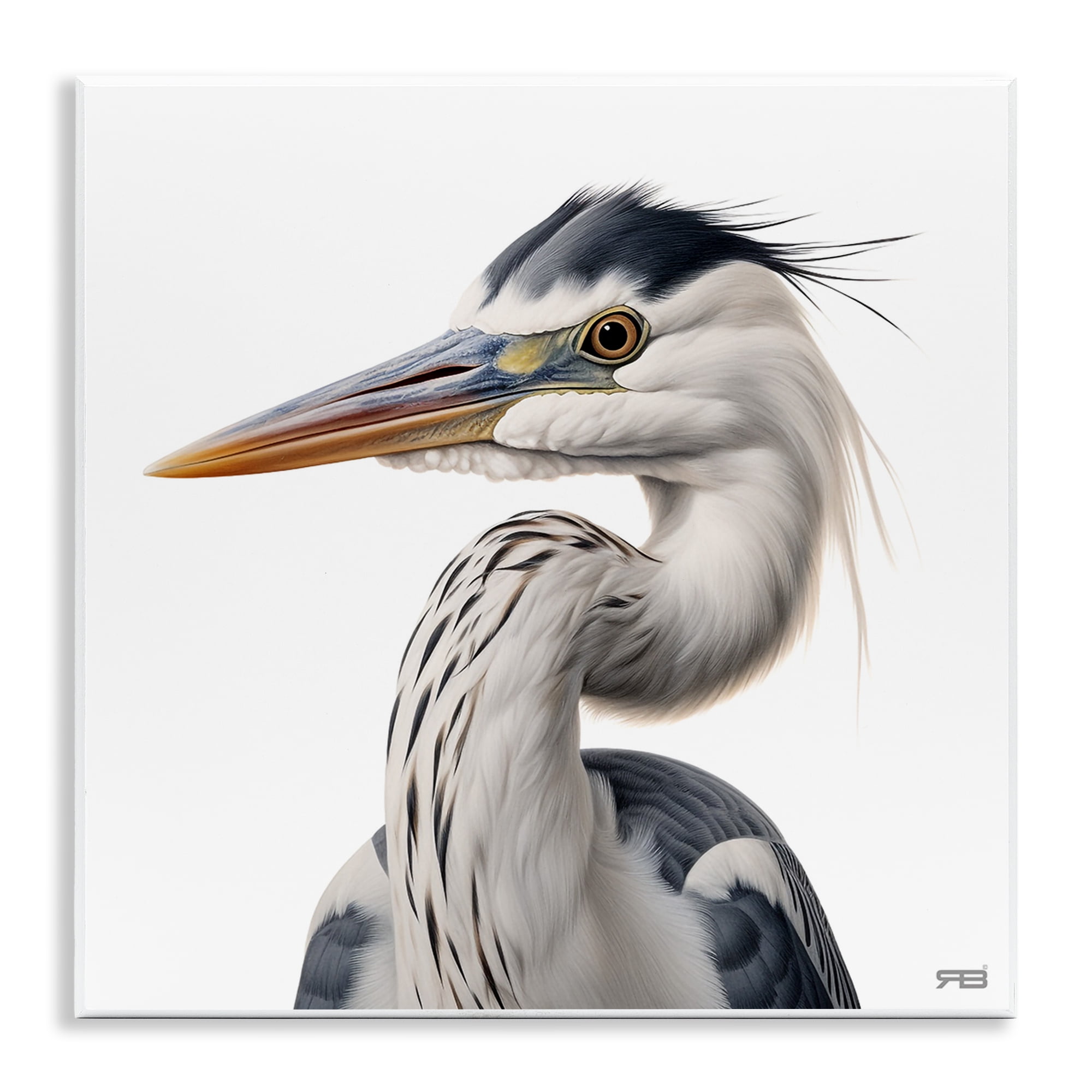 Stupell Industries Stoic Heron Looking Left Animals & Insects Painting Unframed Art Print Wall Art, 12 x 12