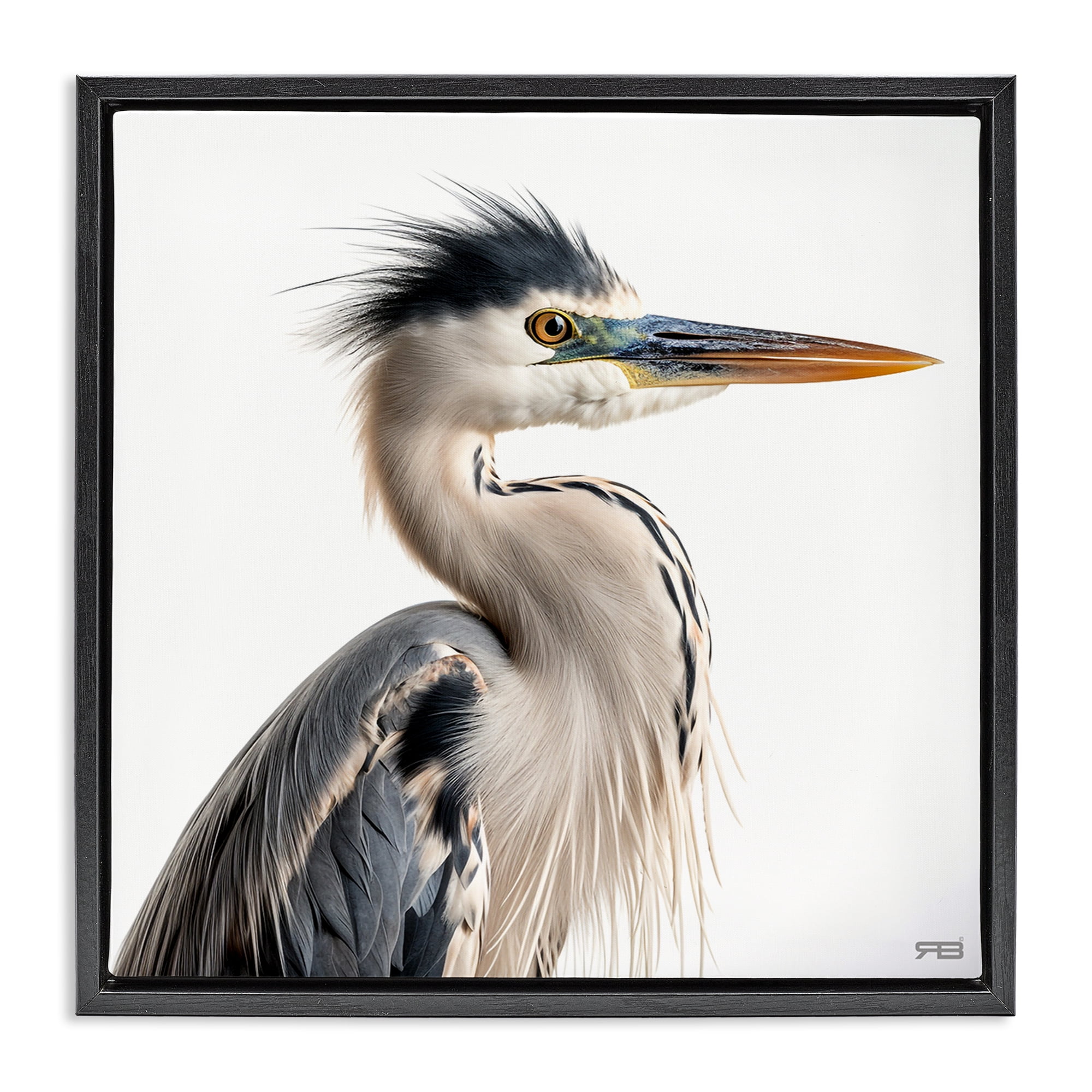 Stupell Industries Stoic Heron Looking Right Animals & Insects Painting Black Floater Framed Canvas Art Print Wall Art, 25 x 25
