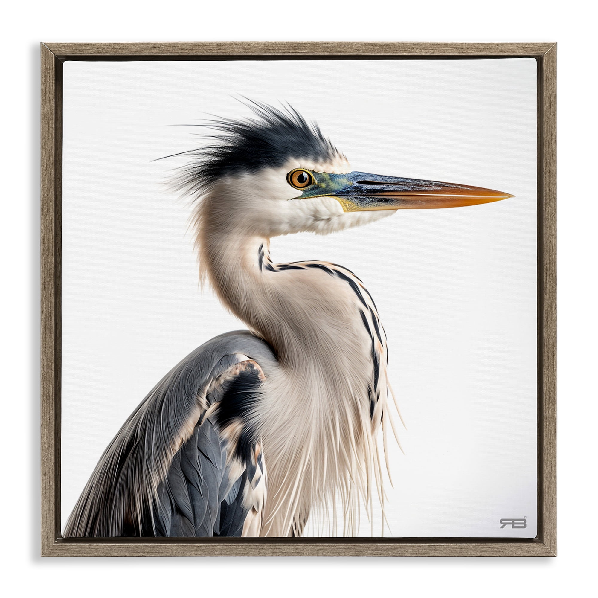 Stupell Industries Stoic Heron Looking Right Animals & Insects Painting Brown Floater Framed Canvas Art Print Wall Art, 25 x 25