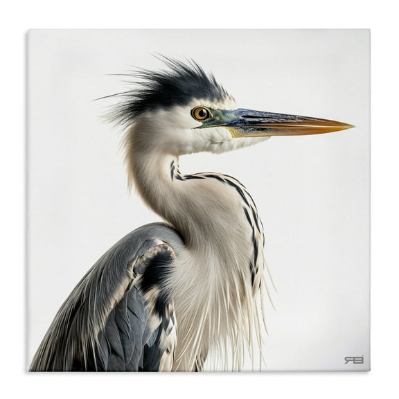 Stupell Industries Stoic Heron Looking Right Animals & Insects Painting Gallery Wrapped Canvas Art Print Wall Art, 17 x 17