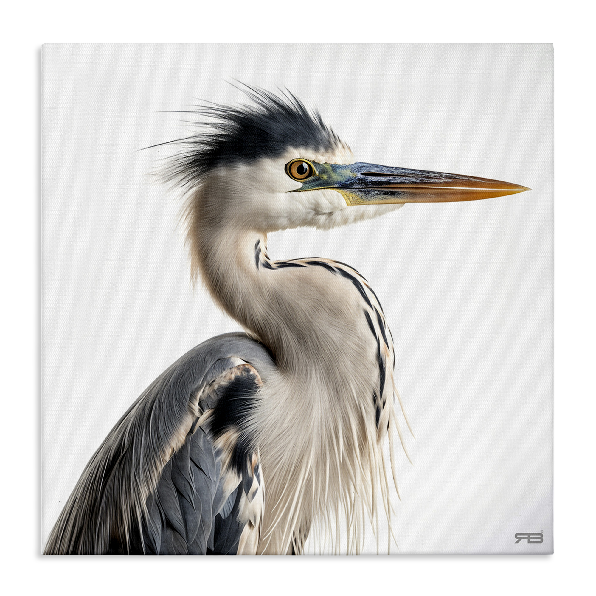 Stupell Industries Stoic Heron Looking Right Animals & Insects Painting Gallery Wrapped Canvas Art Print Wall Art, 30 x 30