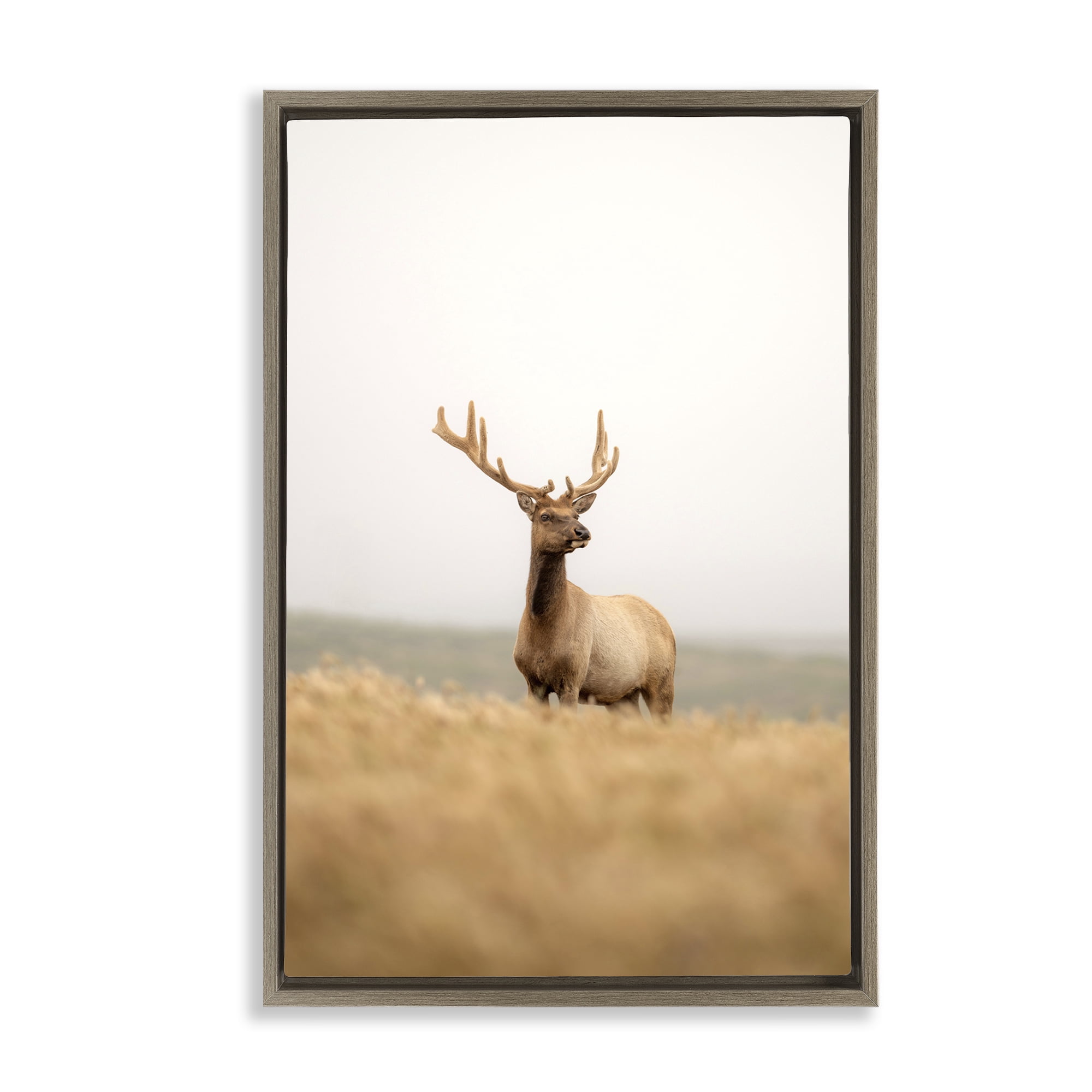 Stupell Industries Stoic Tule Elk Landscape & Nature Photography Brown Floater Framed Canvas Art Print Wall Art, 17 x 25