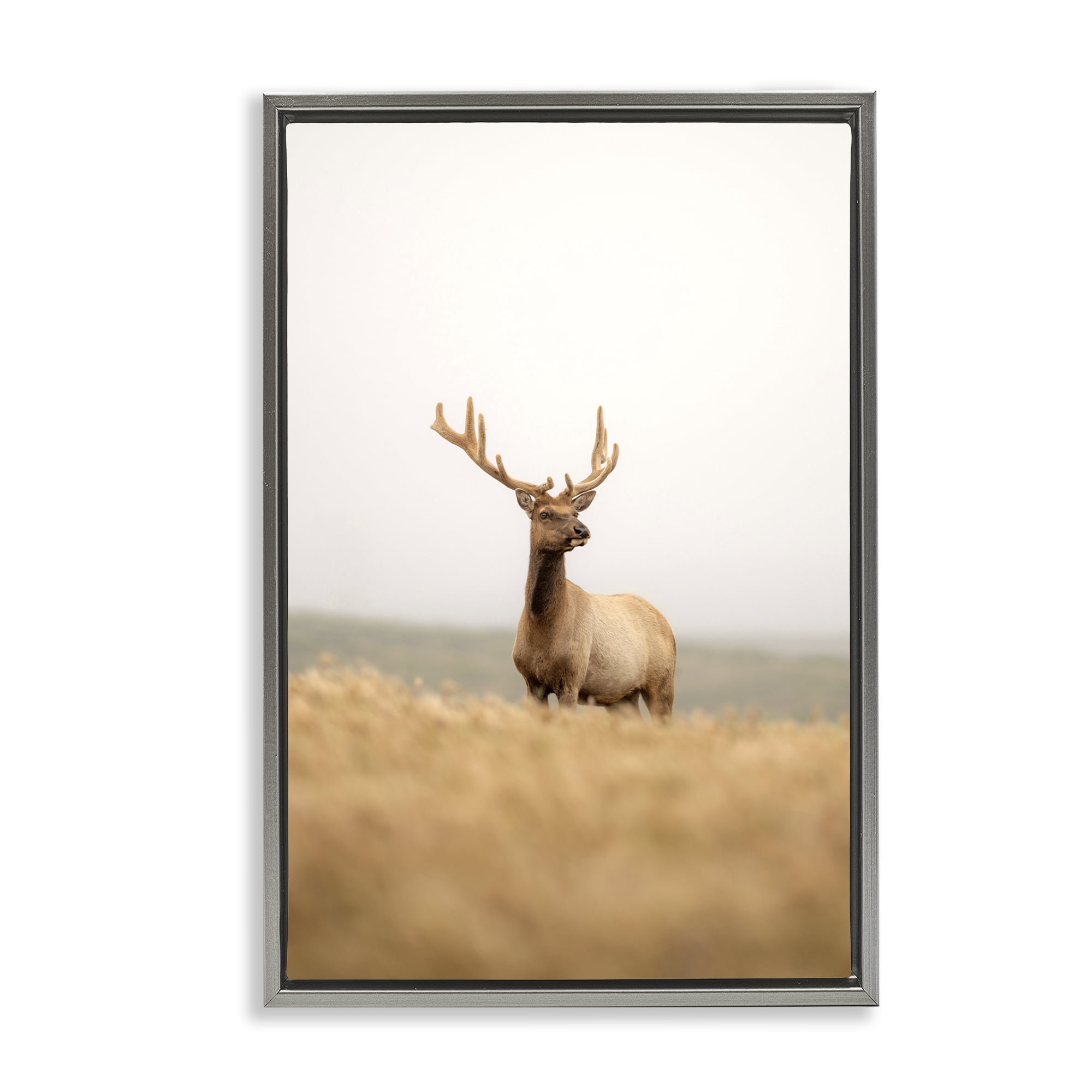 Stupell Industries Stoic Tule Elk Landscape & Nature Photography Gray Floater Framed Canvas Art Print Wall Art, 21 x 31