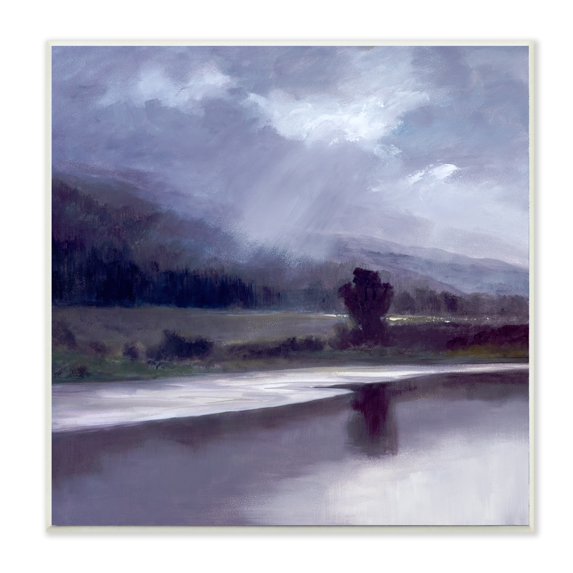 Stupell Industries Storm Clouds Abstract Light Meadow Landscape Wall Plaque by Sheila Finch