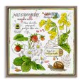 thumbnail image 1 of Stupell Industries Cottage Strawberry & Florals Uses Brown Floating Frame Canvas Art, 18 x 18, by Jane Maday, 1 of 8
