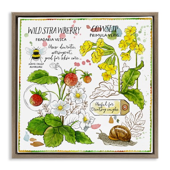 Stupell Industries Cottage Strawberry & Florals Uses Brown Floating Frame Canvas Art, 18 x 18, by Jane Maday