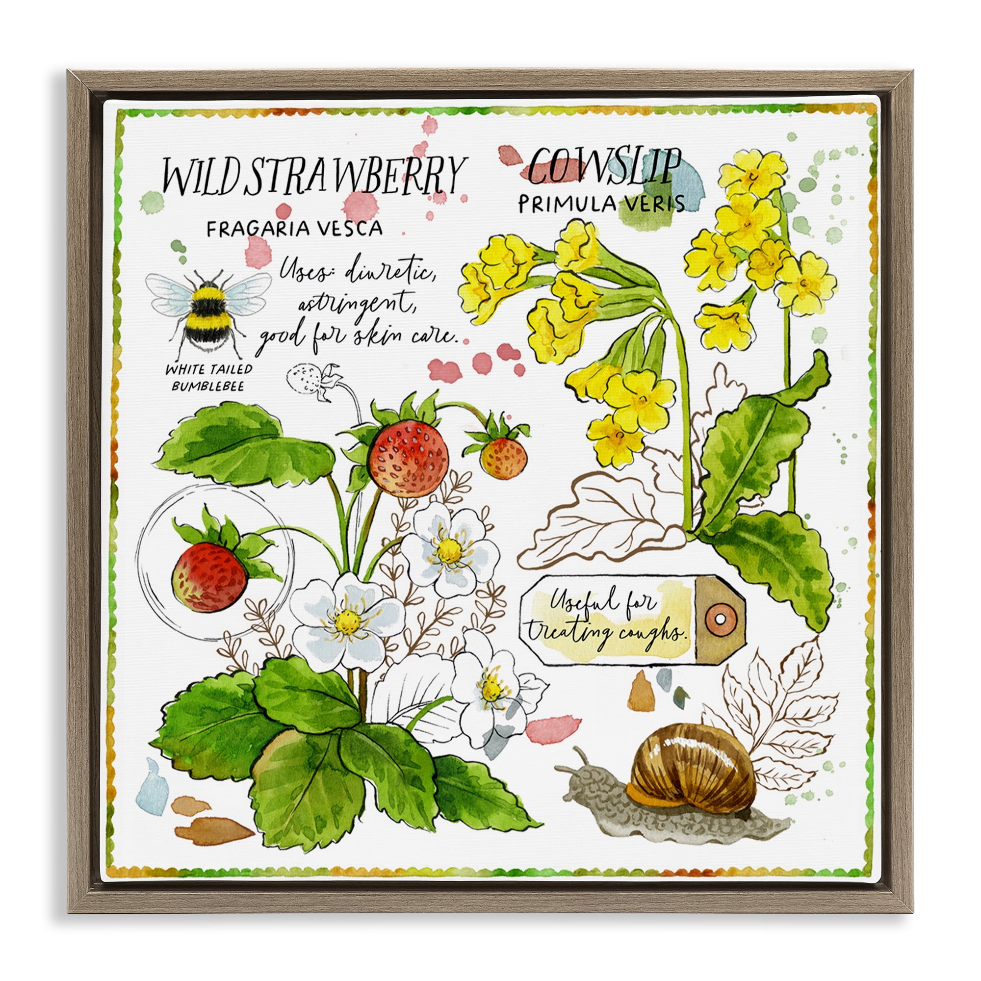 Stupell Industries Strawberry & Florals Uses Plants & Flowers Painting Brown Floater Framed Canvas Art Print Wall Art, 18 x 18