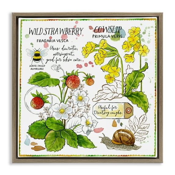 Stupell Industries Strawberry & Florals Uses Plants & Flowers Painting Brown Floater Framed Canvas Art Print Wall Art, 18 x 18