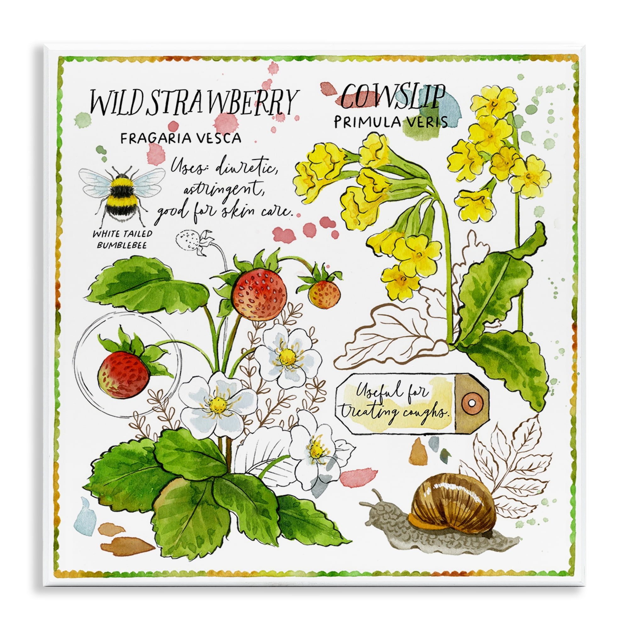Stupell Industries Strawberry & Florals Uses Plants & Flowers Painting Unframed Art Print Wall Art, 12 x 12