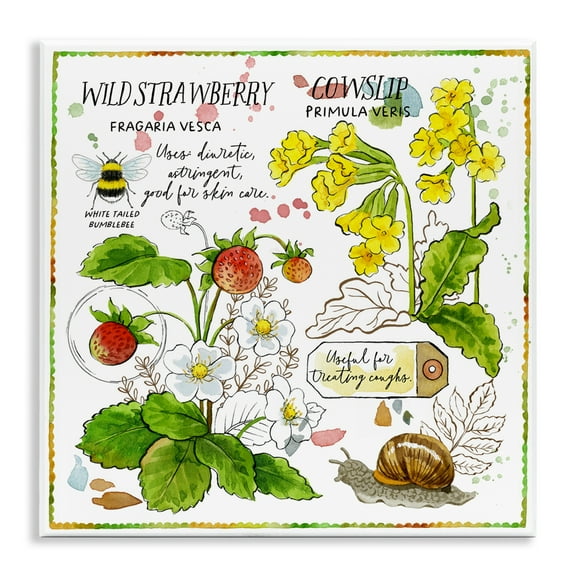 Stupell Industries Strawberry & Florals Uses Plants & Flowers Painting Unframed Art Print Wall Art, 12 x 12