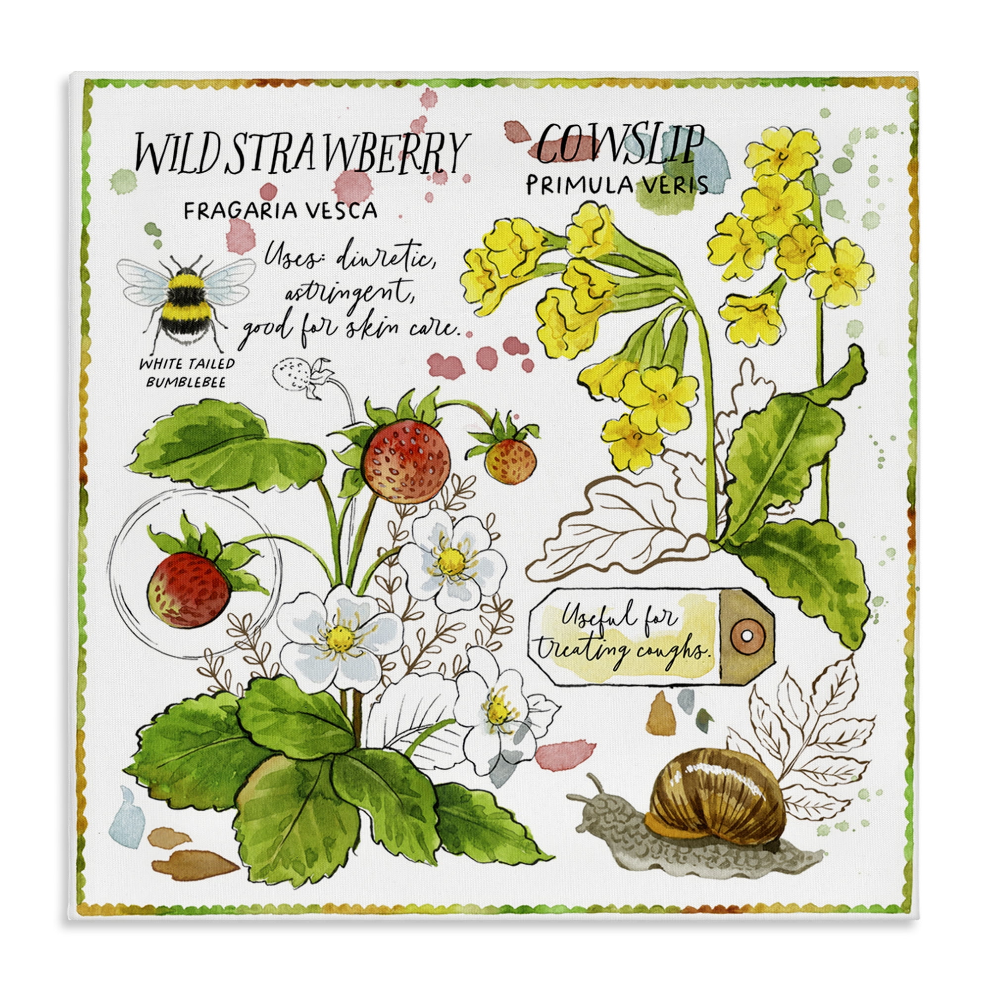 Stupell Industries Strawberry & Florals Uses Plants & Flowers Painting Wrapped Canvas Art Print Wall Art, 17 x 17