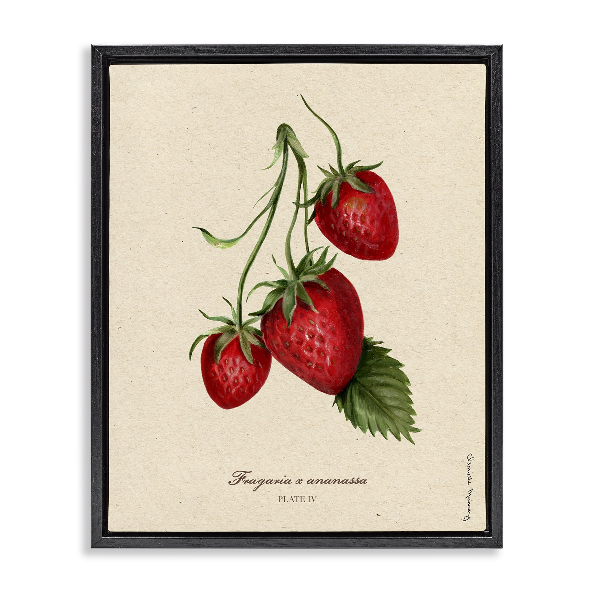 Stupell Industries Strawberry Fruit Portrait Black Framed Floater Canvas Wall Art, design by Danielle Murray