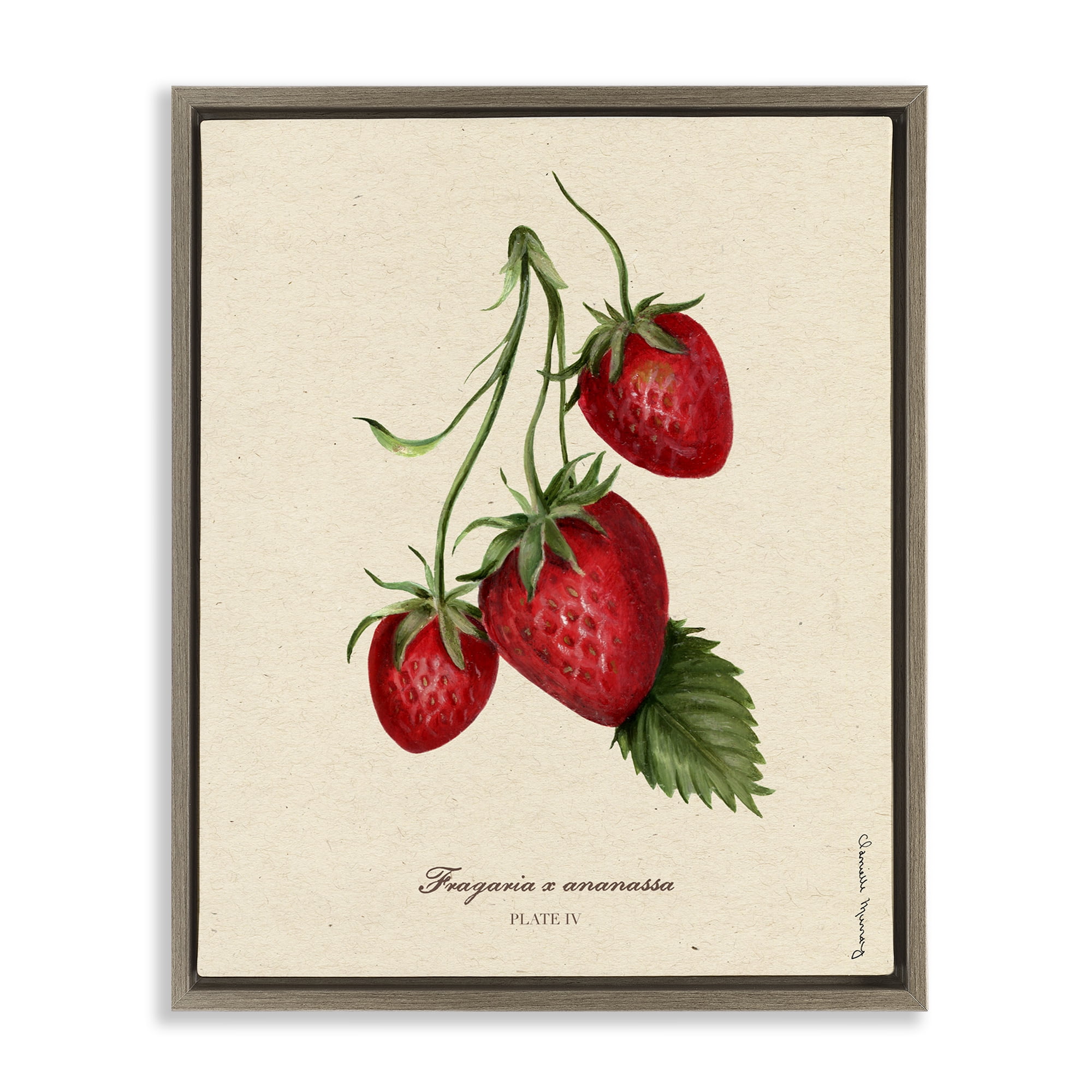 Stupell Industries Strawberry Fruit Portrait Brown Framed Floater Canvas Wall Art, design by Danielle Murray