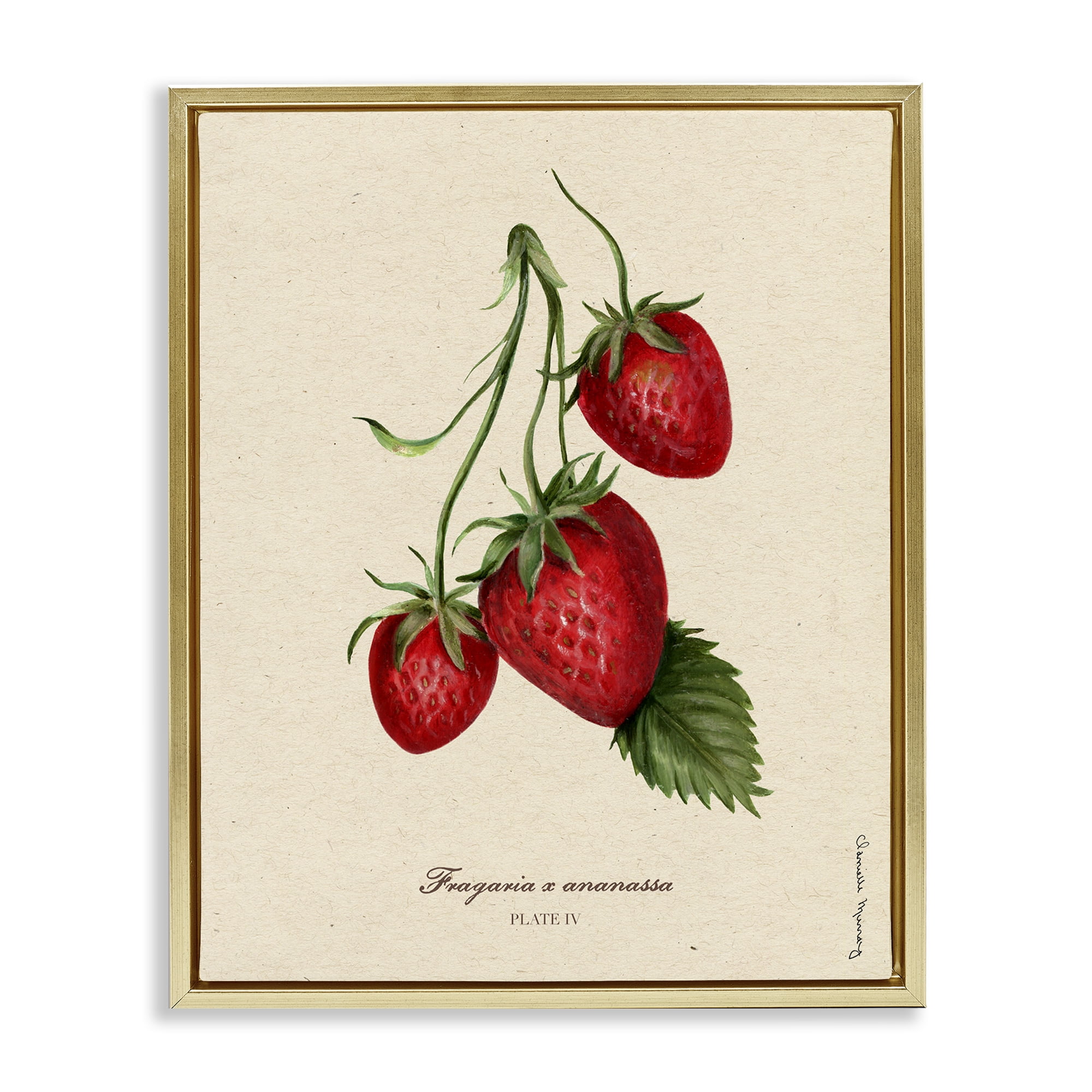 Stupell Industries Strawberry Fruit Portrait Gold Framed Floater Canvas Wall Art, design by Danielle Murray