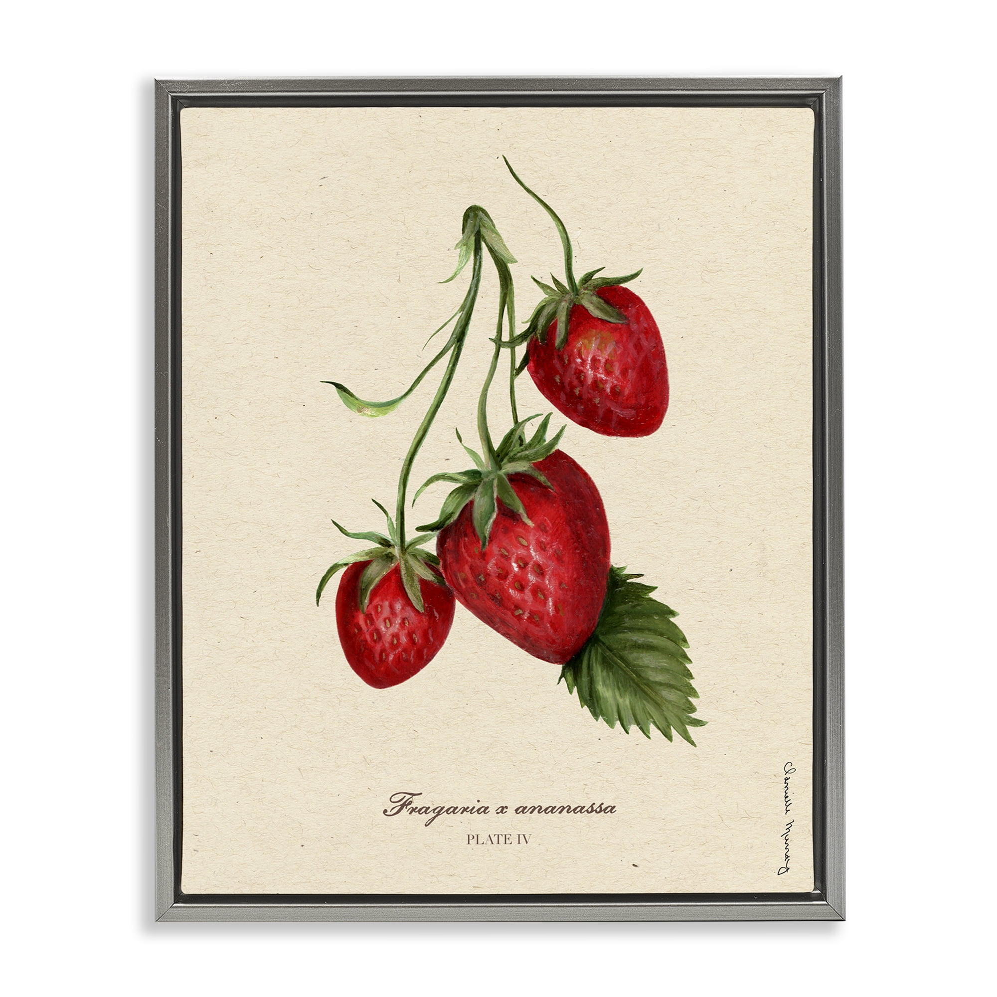 Stupell Industries Strawberry Fruit Portrait Gray Framed Floater Canvas Wall Art, design by Danielle Murray