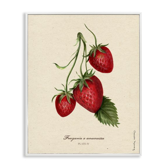 Stupell Industries Strawberry Fruit Portrait White Framed Giclee Art, design by Danielle Murray