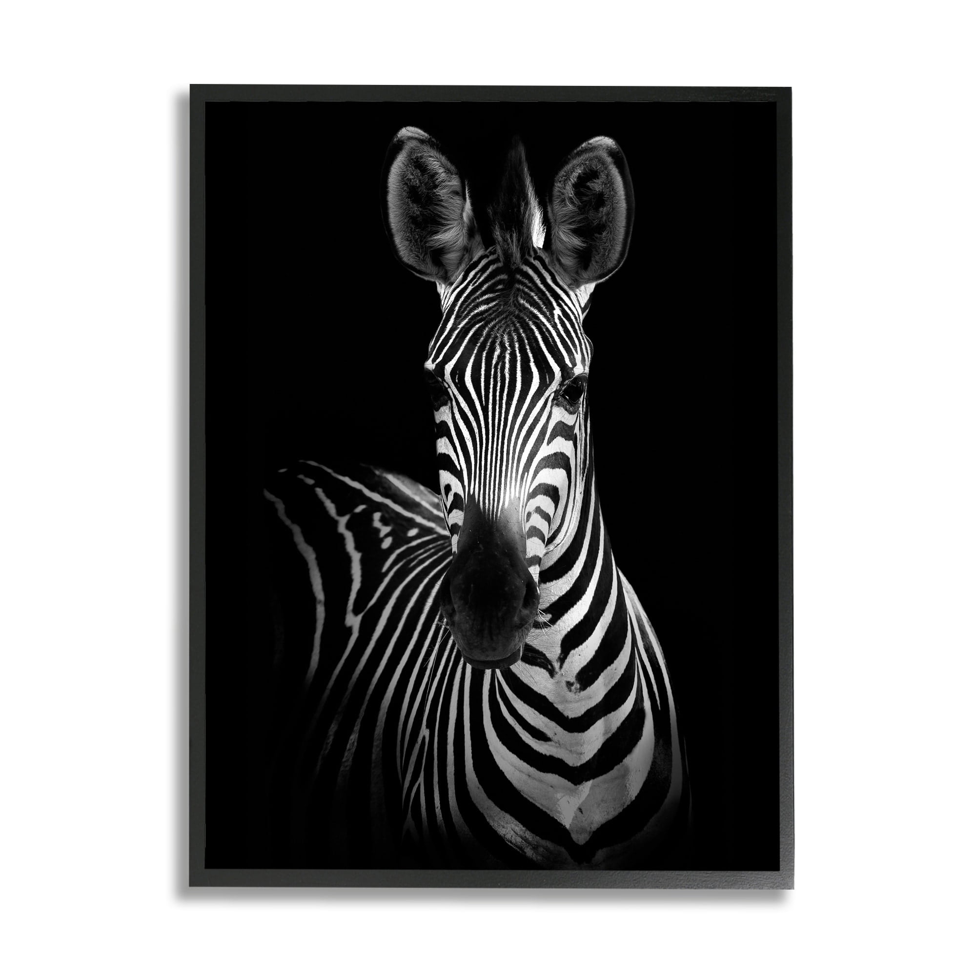 Stupell Industries Striking Greyscale Monochrome Zebra Photography Portrait , 11 x 14, Design by Incado