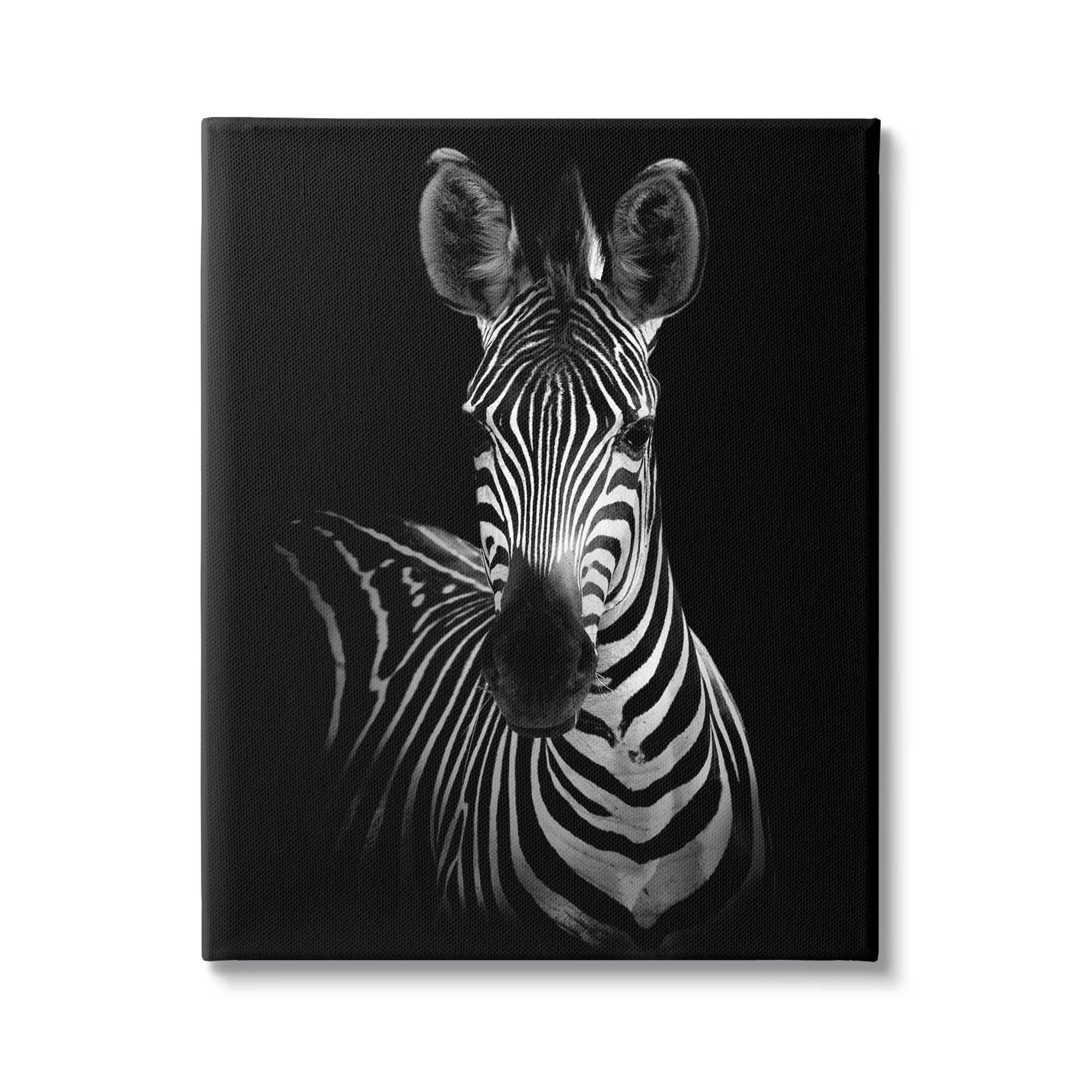 Stupell Industries Striking Greyscale Monochrome Zebra Photography Portrait , 24 x 30, Design by Incado