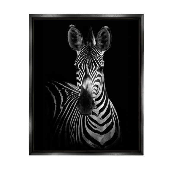 Stupell Industries Striking Greyscale Monochrome Zebra Photography Portrait Jet Black Framed Floating Canvas Wall Art, 16x20, by Incado